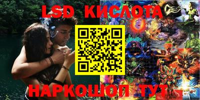 гидропоника Кунгур